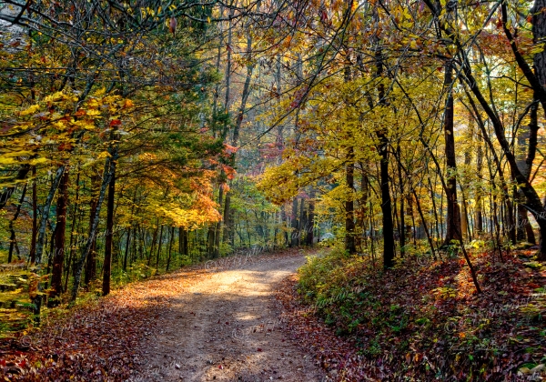 15 Early Fall Moring At Gummer Pool Campground - Professional Recent Photography photography by Paul Caldwell