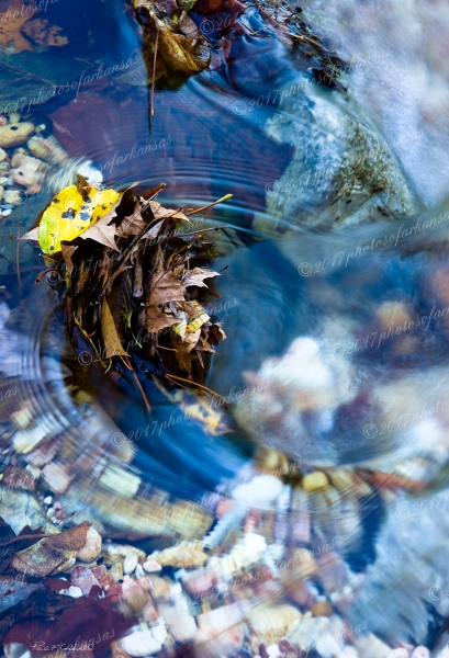 27 Leaves In The Flow On Sylamore Creek - Professional Temporary Gallery photography by Paul Caldwell